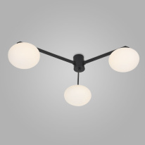 Фото Накладная люстра Eurosvet 70220/3 черный