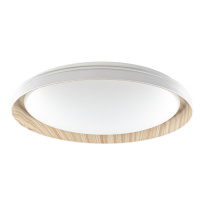 Купить  Citilux CL752452G