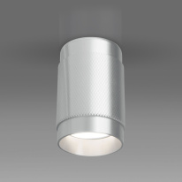 Цена на Накладной светильник Elektrostandard DLN109 GU10 серебро