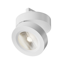 Фото Светильник на шине Maytoni Technical TR006-1-12W3K-W4K