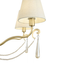 Купить Подвесная люстра Freya FR2019PL-07BS