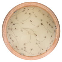 Фото Накладной светильник TOPLIGHT TL9650Y-00PN