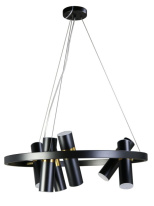 Фото Подвесной светильник Zortes ZRS.1828.60