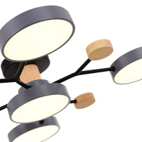 Люстра на штанге Evoluce SLE6006-702-05 в интернет магазине Гет Лайт