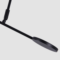 Цена на Люстра на штанге Favourite 4572-1C