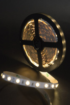 Купить Лента SWG SWG560-24-14.4-WW