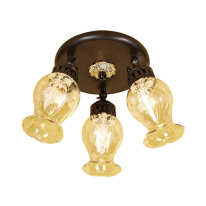 Фото Спот Citilux CL413131