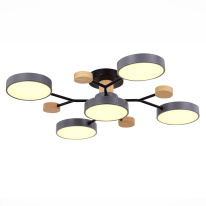 Купить Люстра на штанге Evoluce SLE6006-702-05