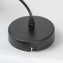 Подвесной светильник Lussole LSP-8925 в интернет магазине Гет Лайт