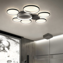 Цена на Накладная люстра ImperiumLoft 204609-26