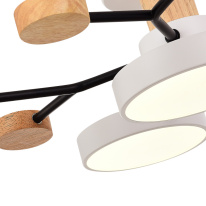 Люстра на штанге Evoluce SLE6006-502-05 в интернет магазине Гет Лайт