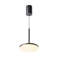 Подвесной светильник Maytoni Technical P076PL-L12W3K-B Фото Подвесной светильник Maytoni Technical P076PL-L12W3K-B