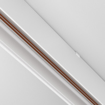 Купить Соединитель для шинопровода Maytoni Technical TRA034HS-21W