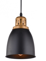 Фото Подвесной светильник ARTE Lamp A4248SP-1BK