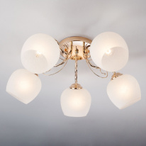 Купить Накладная люстра Eurosvet 30138/5 золото