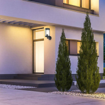 Купить Светильник настенный Escada 30003W/03