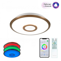 Фото Накладной светильник Citilux CL703A13G