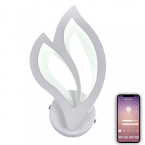 Фото Бра Natali Kovaltseva LED LAMPS 81108/1W