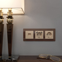 Купить с доставкой по Москве и России Розетка Werkel W1171011