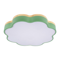 Фото Накладной светильник LOFT IT 10225/36 Green