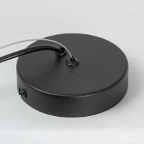 Подвесной светильник Lussole LSP-8924 в интернет магазине Гет Лайт