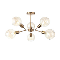 Фото Люстра на штанге Evoluce SLE155302-06