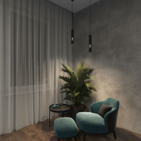 Купить с доставкой по Москве и России Подвесной светильник Denkirs DK4045-BK