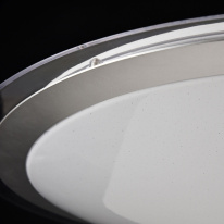 Купить с доставкой по Москве и России Накладной светильник Freya FR6998-CL-30-W