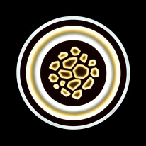 Купить Накладной светильник Sonex 3024/99CL