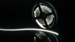 Лента SWG SWG4240-12-24-W-M в интернет магазине Гет Лайт