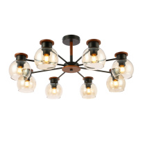 Фото Люстра на штанге Evoluce SLE108102-08