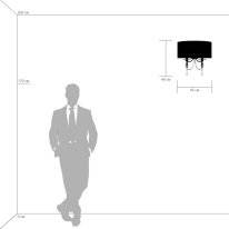 Бра Lightstar 725626 в интернет магазине Гет Лайт