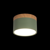Цена на Детский точечный светильник LOFT IT 10162 Green