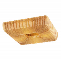 Фото Накладной светильник Lightstar 820463