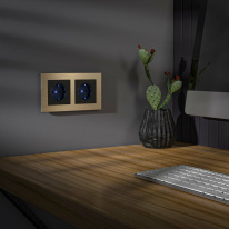 Купить с доставкой по Москве и России Розетка Werkel W1171408