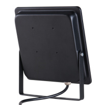 Купить Прожектор Elektrostandard 013 FL LED 30W 6500K IP65