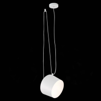 Купить Подвесной светильник Evoluce SLE120653-01