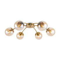 Фото  Freya FR5158PL-06BS