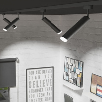 Цена на Светильник на шине Elektrostandard Oskar Черный 10W 4200K (LTB28)