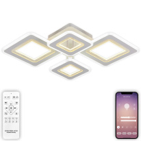 Фото Накладная люстра Natali Kovaltseva LED LAMPS 81195