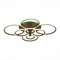 Фото Накладная люстра EVOLED SLE500572-08RGB