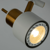 Купить Спот ARTE Lamp A1906PL-2WH
