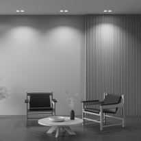 Встраиваемый светильник Maytoni Technical DL002-DW-02-W в интернет магазине Гет Лайт