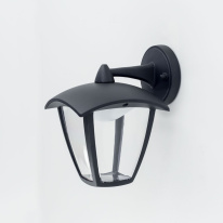 Купить с доставкой по Москве и России Светильник настенный Citilux CLU04W2