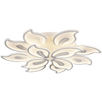 Фото Накладная люстра TOPLIGHT TL1143-156D