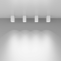 Купить Накладной светильник Elektrostandard 1085 GU10 WH белый матовый