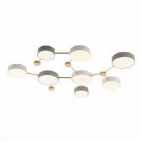 Фото Накладной светильник Evoluce SLE600102-08