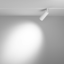 Купить с доставкой по Москве и России Светильник на шине Maytoni Technical TR032-2-12W4K-S-W