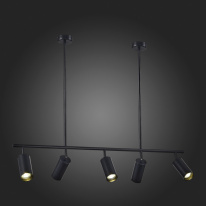 Спот ST-Luce SL1206.403.05 Купить с доставкой по Москве и России Спот ST-Luce SL1206.403.05