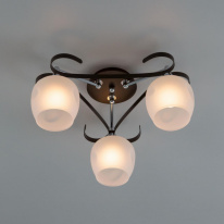 Цена на Накладная люстра Citilux CL171134